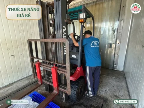 Các loại xe nâng cho thuê tại Phan Thiết