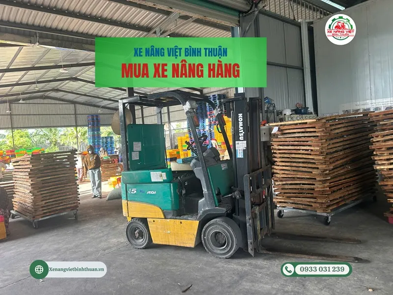 mua xe nang dip tet