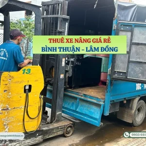 thue xe nang gia re