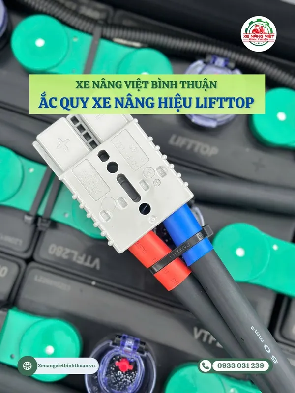 ac quy xe nang hieu Lifttop binh thuan