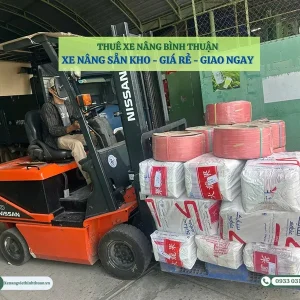 thue xe nang binh thuan gia re