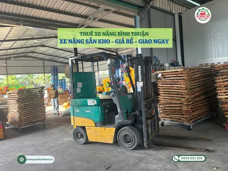 thue xe nang binh thuan gia re