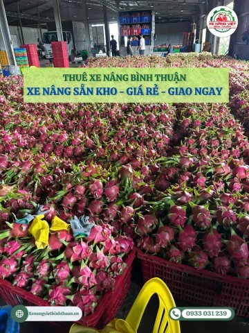 thue xe nang binh thuan san kho